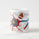 Recherche de diagramme tasses Biologie