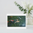Recherche de koi cartes postales Poisson