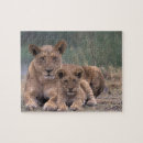 Suche nach afrika puzzle Botsuana