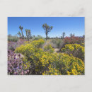 Suche nach san bernardino poster Blume