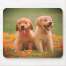 Suche nach draußen mousepads Im freien
