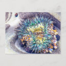 Recherche de animaux marins cartes postales Nature