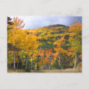 Suche nach aspen postkarten Berge