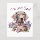 Suche nach weimaraner hund postkarten Welpe