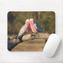 Suche nach kakadu mousepads Rosa