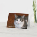 Recherche de manqué anniversaire cartes Tardif