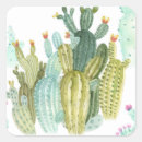 Suche nach cacti aufkleber Aquarell