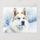 Suche nach zäh postkarten Schnee