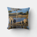 Recherche de éléphants coussins Image en couleur