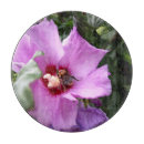 Suche nach hummel schneidebrettchen Blume