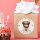 Suche nach schottische aufkleber Hochlandkuh