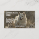 Suche nach hundezucht visitenkarten Haustiere