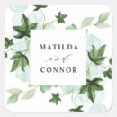 Recherche de feuille lierre autocollants Feuilles de lierre