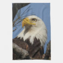 Recherche de aigle chauve cuisine linges 4 juillet