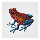 Recherche de grenouilles posters Faune