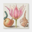 Suche nach vintage illustration magnete Botanisch