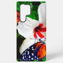 Recherche de ailes coques Faune