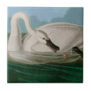 Suche nach trompeten untersetzer Schwan