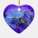Recherche de violette africaine ornements Fleur