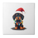 Suche nach dachshund fliesen Wolf