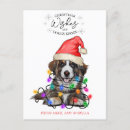 Recherche de bisous cartes postales Pour tous