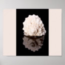 Suche nach monotone poster Modern