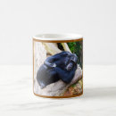 Recherche de chimpanzés tasses Primate
