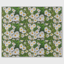 Suche nach gänseblümchen geschenkpapier Blumen