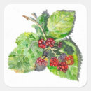 Suche nach blackberry aufkleber Beeren