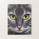 Recherche de chat noir et blanc puzzles Portrait de chat