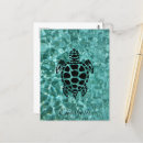 Recherche de coquille de tortue cartes postales Animal