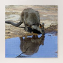 Suche nach känguru puzzle Wallaby