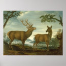 Recherche de cerf posters Allemand