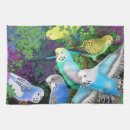 Suche nach budgerigars Parakeets