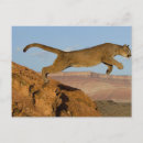 Recherche de saut cartes postales Montagne