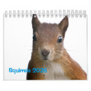 Suche nach eichhörnchen kalender Nagetier