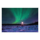 Suche nach arktisch poster Aurora
