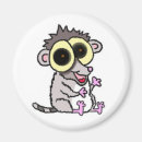 Suche nach primate magnete Madagaskar