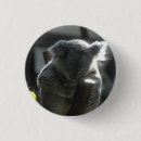 Suche nach bleistift buttons Schwarz