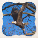 Suche nach flug untersetzer Adler
