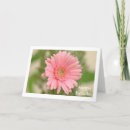 Recherche de gerber vœux cartes Jardin