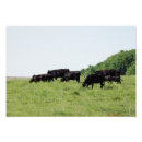 Suche nach feld fotodruck Bauernhof