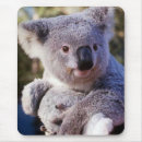 Recherche de ours koala tapis souris Marsupial