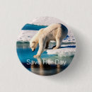 Recherche de ours bleu badges Porter