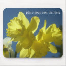 Recherche de jonquilles tapis souris Jardin