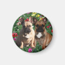 Recherche de vacances de pâques magnets Fleurs