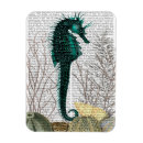 Suche nach seeigel magnete Kirchen