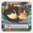 Recherche de bicolore autocollants Chat