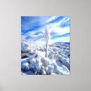 Suche nach helle farbe poster leinwandbilder Kalifornien