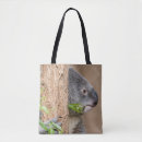 Suche nach der koala taschen Natur